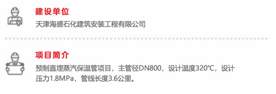 衡水工业新区集中供热管网一期工程-河北元丰管道
